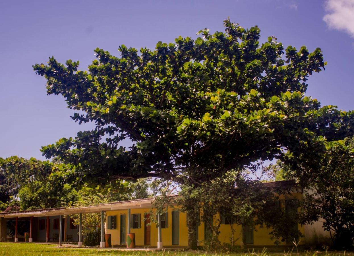 Namaste Pousada E Camping Cananeia Bagian luar foto